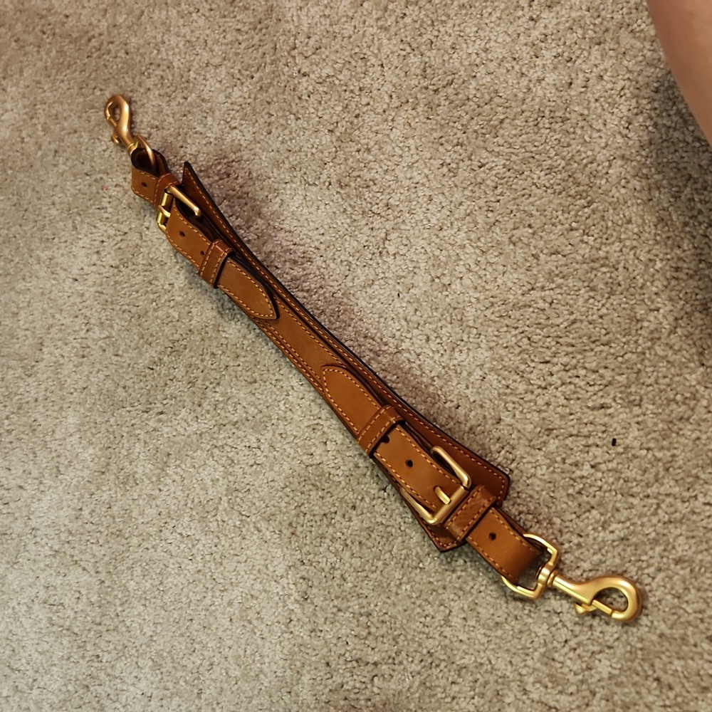 Dooney and bourke florentine kingston strap